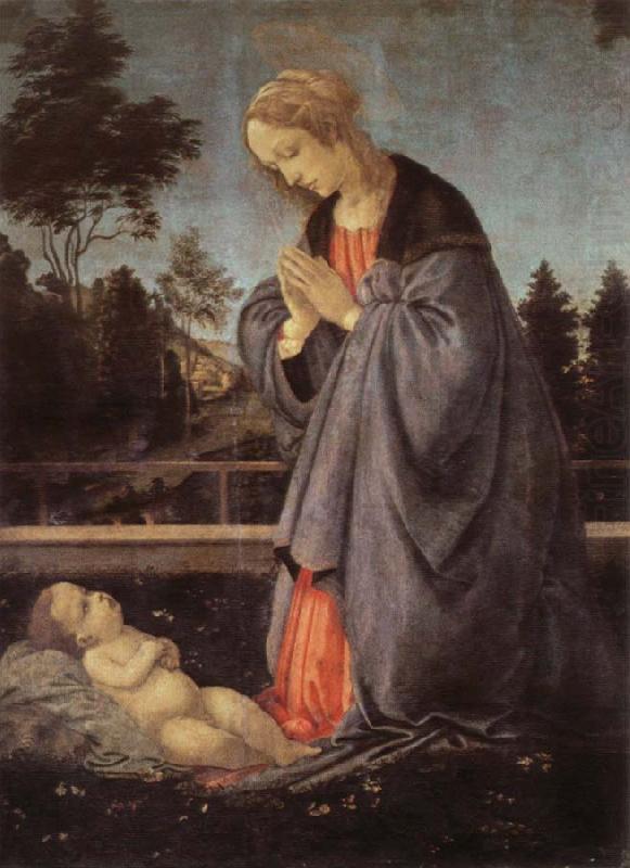 Filippino Lippi adoration of the child china oil painting image